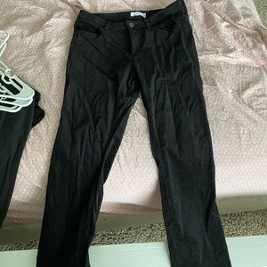 Loft Corduroy Velvet Black Curvy Skinny Pants